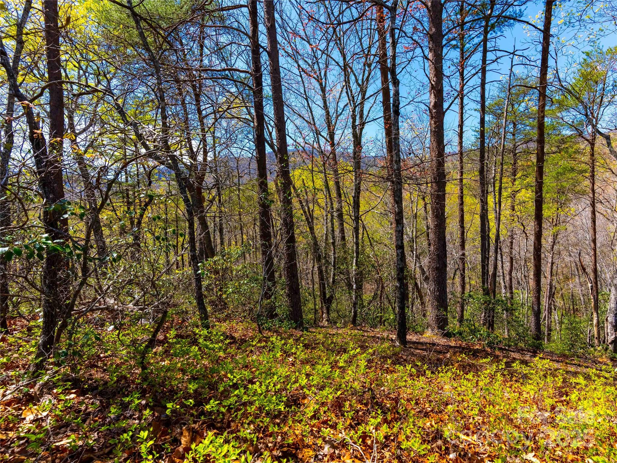 107 Deep Gap Road Property Photo 1