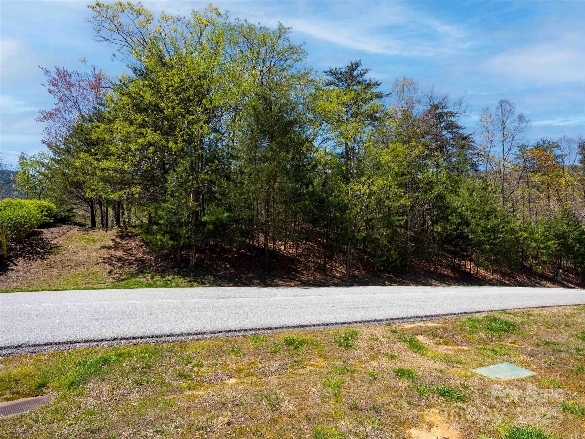 107 Deep Gap Road Property Photo 4