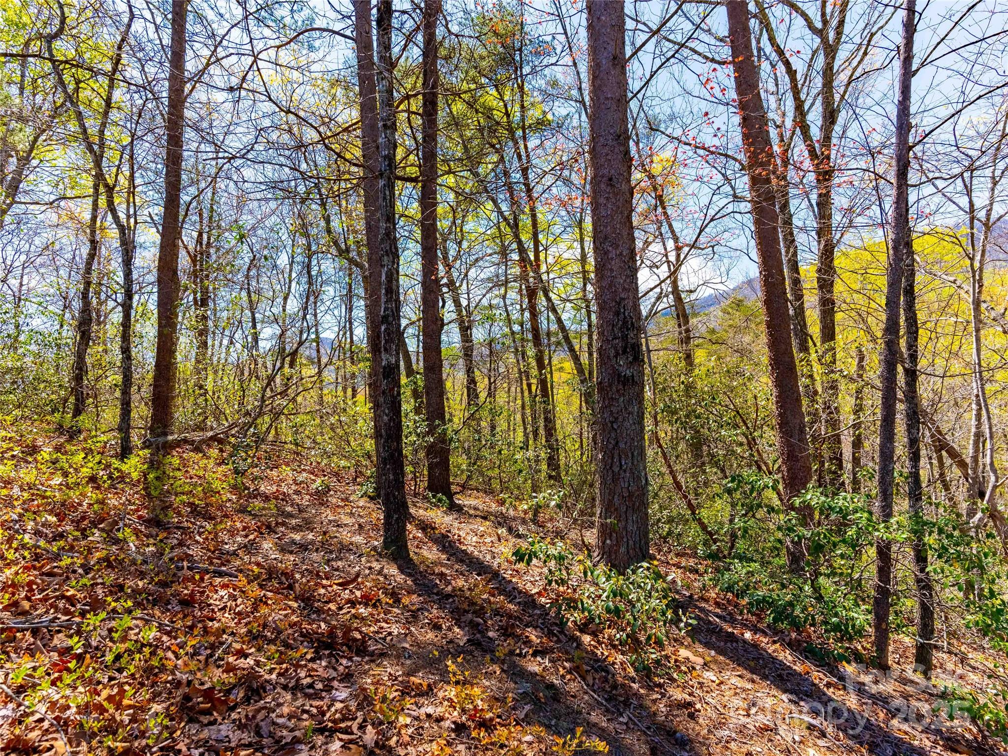 107 Deep Gap Road Property Photo 5