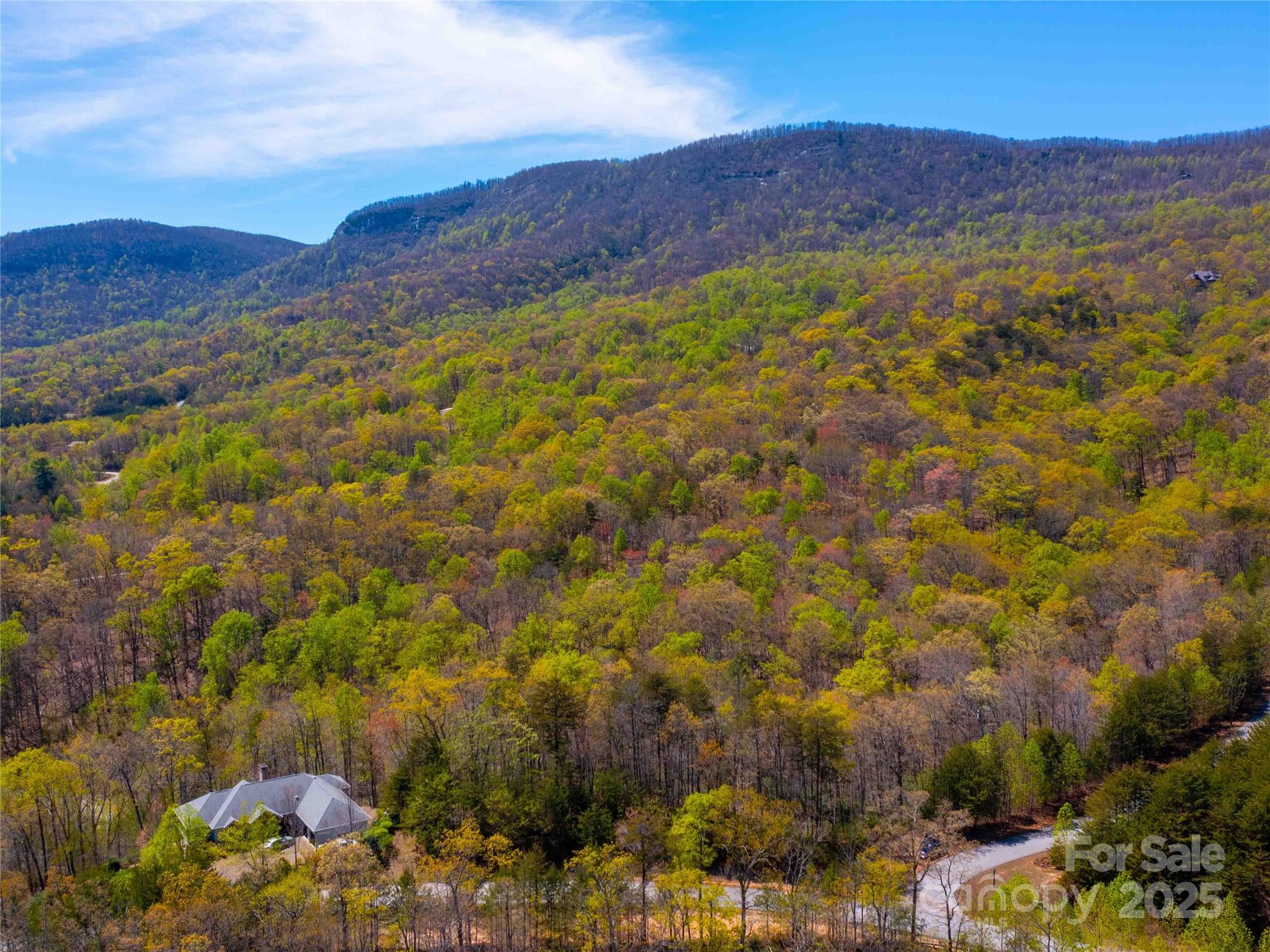 107 Deep Gap Road Property Photo 9