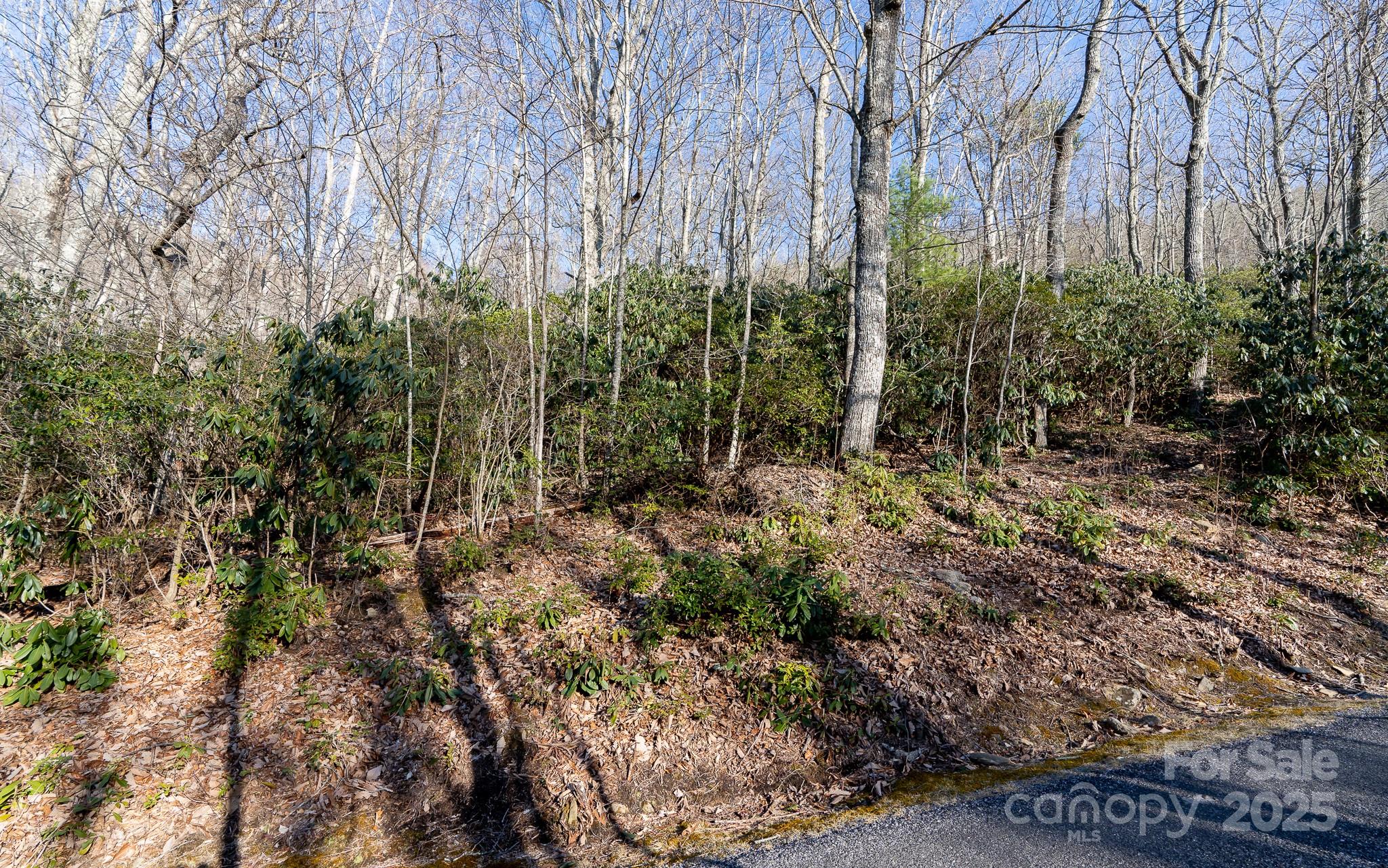 00 Rock Springs Road 10 Property Photo 7