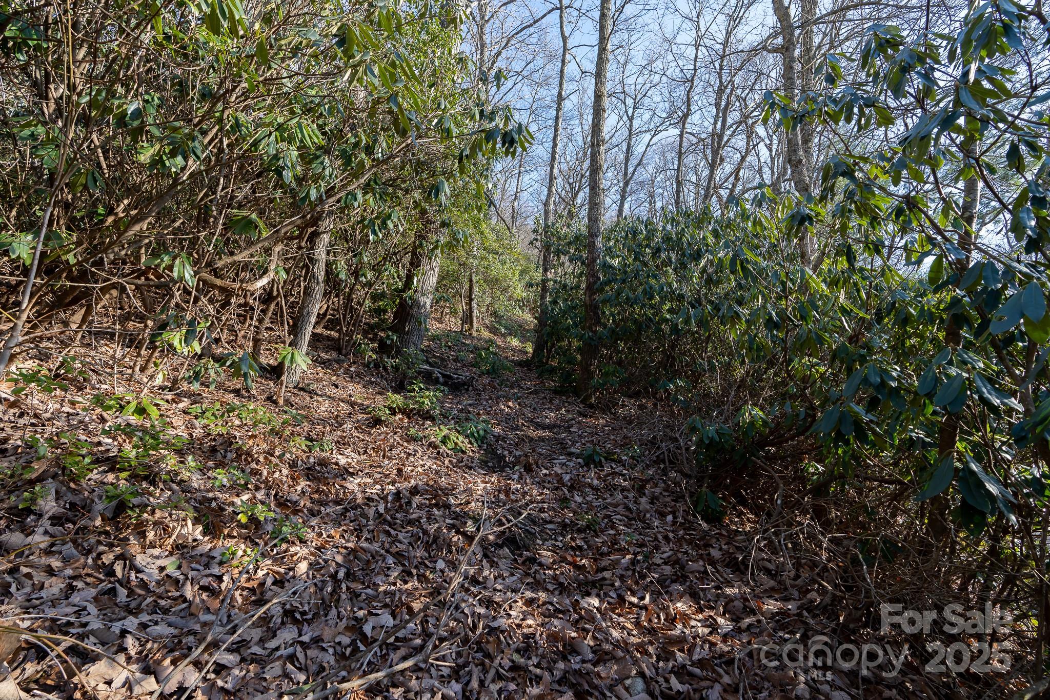 00 Rock Springs Road 10 Property Photo 15