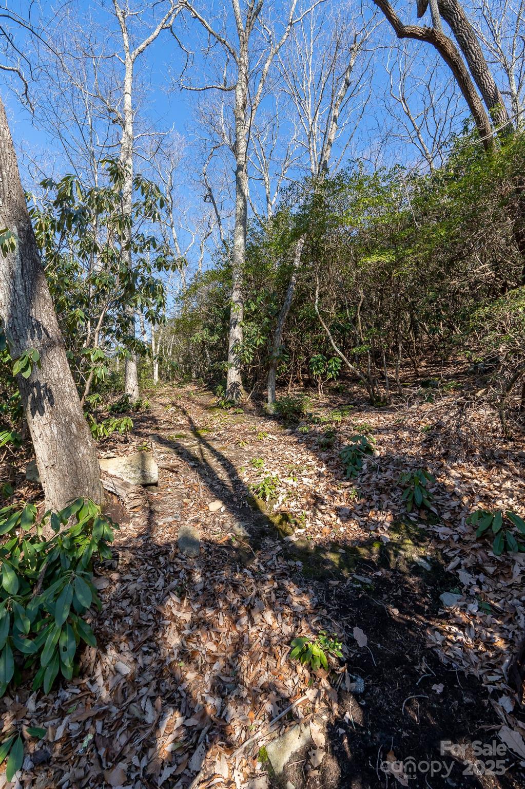 00 Rock Springs Road 10 Property Photo 25