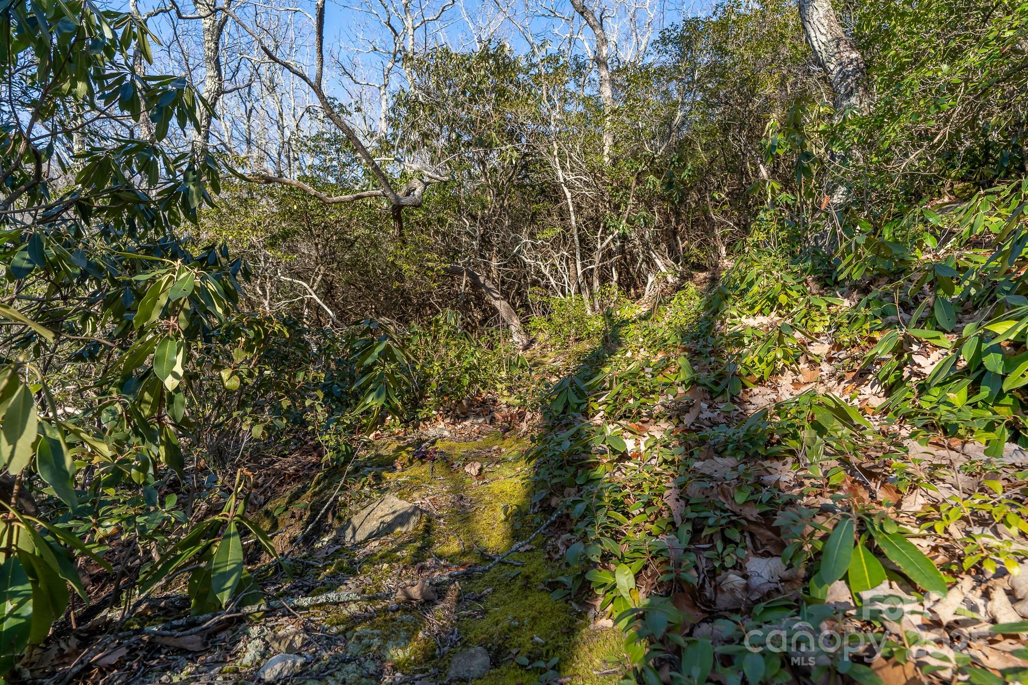 00 Rock Springs Road 10 Property Photo 30