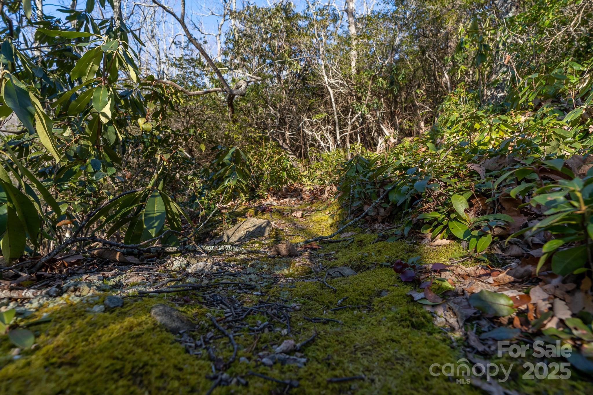 00 Rock Springs Road 10 Property Photo 31