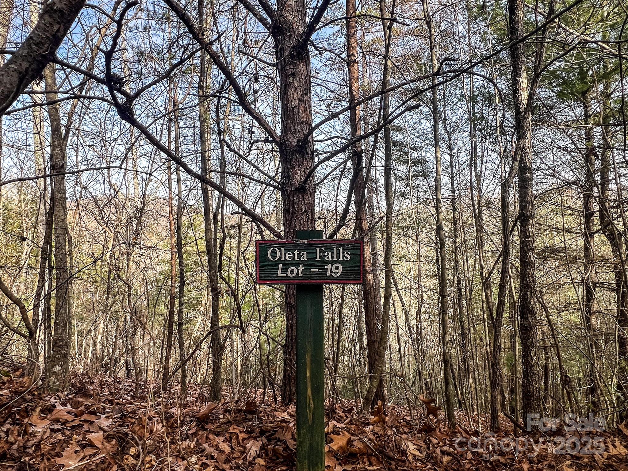 0000 Stepp Ridge Court Property Photo
