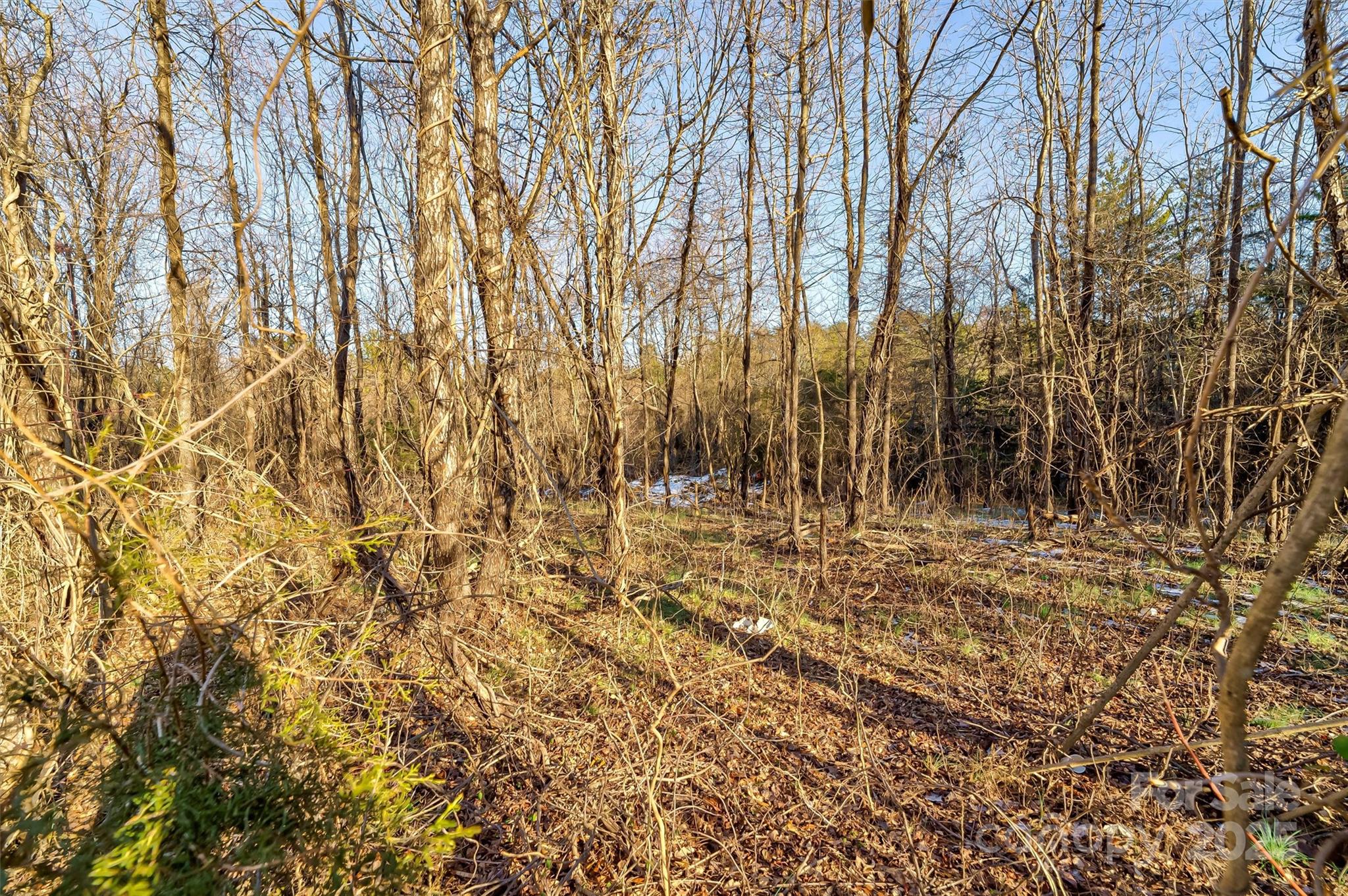 595 Causby Road Property Photo 14