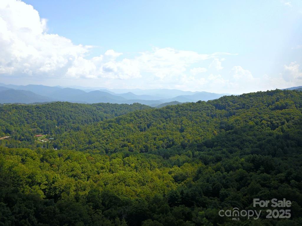 0 Mountain Forest Estates Road Property Photo
