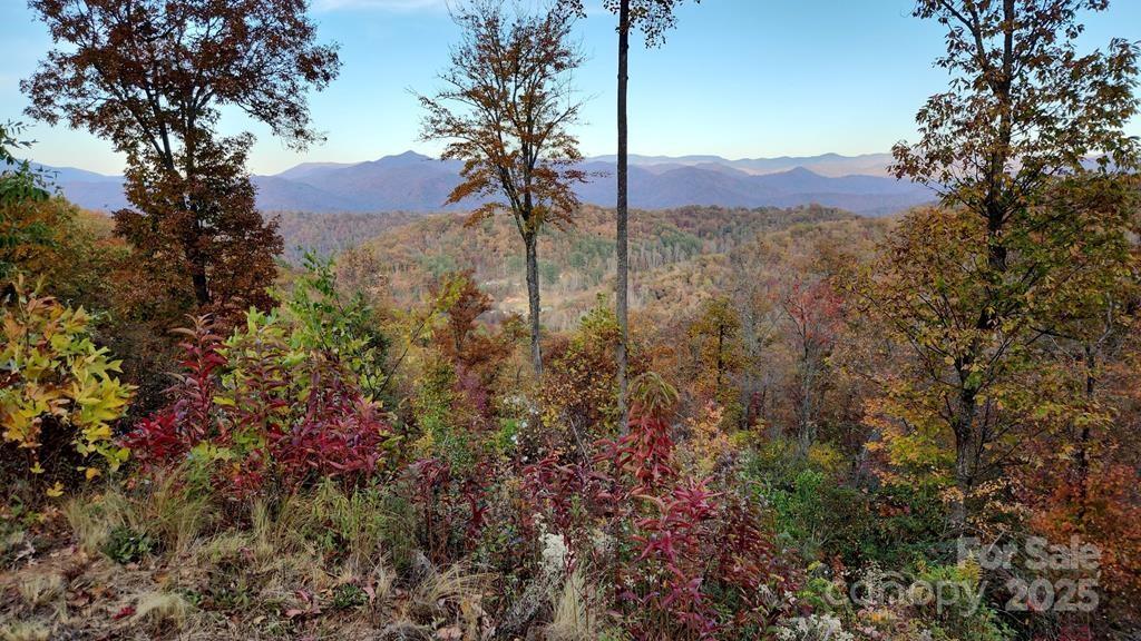 0 Mountain Forest Estates Road Property Photo 2