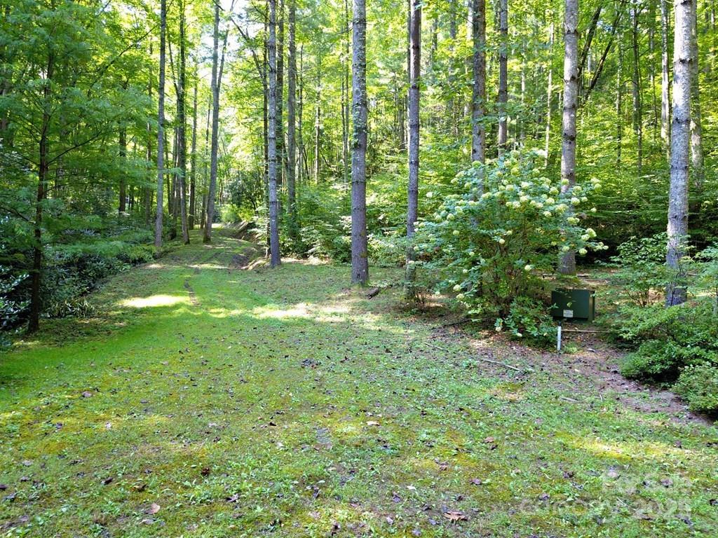 0 Mountain Forest Estates Road Property Photo 4