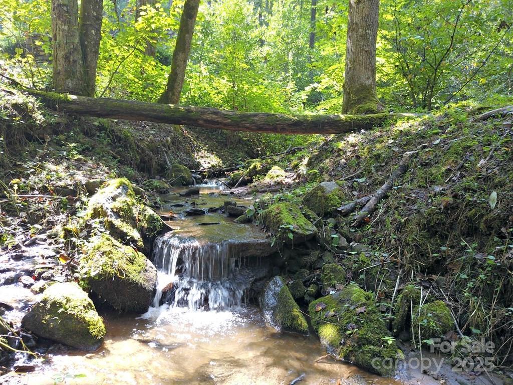 0 Mountain Forest Estates Road Property Photo 8
