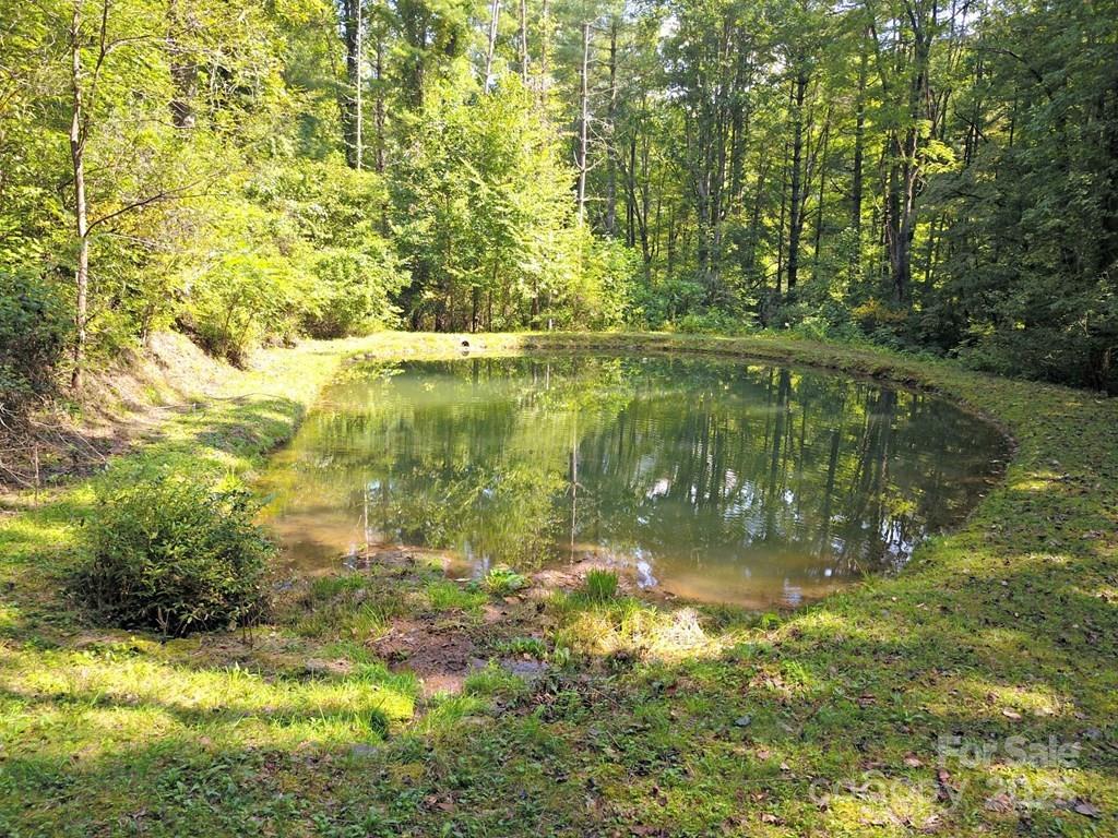 0 Mountain Forest Estates Road Property Photo 9