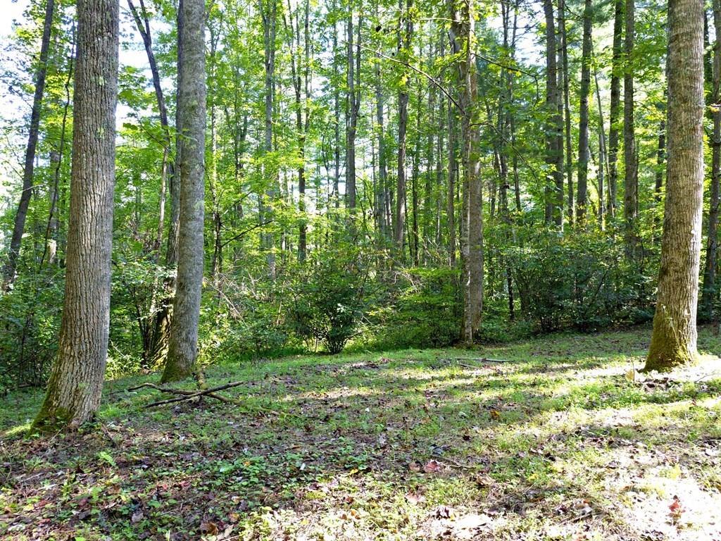 0 Mountain Forest Estates Road Property Photo 10