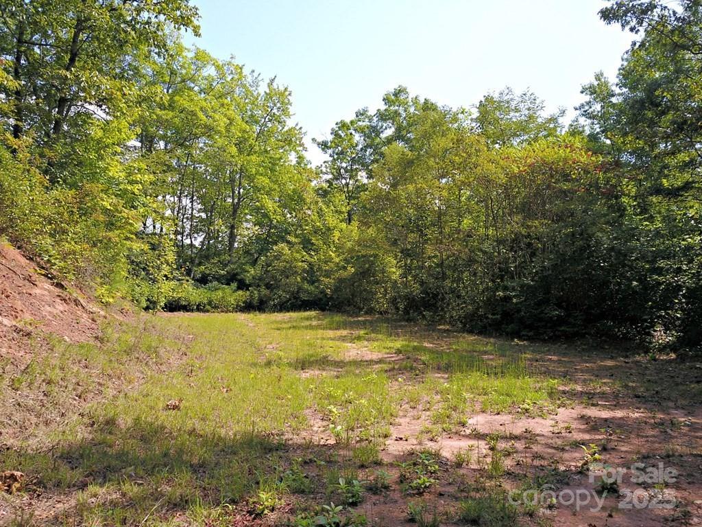 0 Mountain Forest Estates Road Property Photo 11