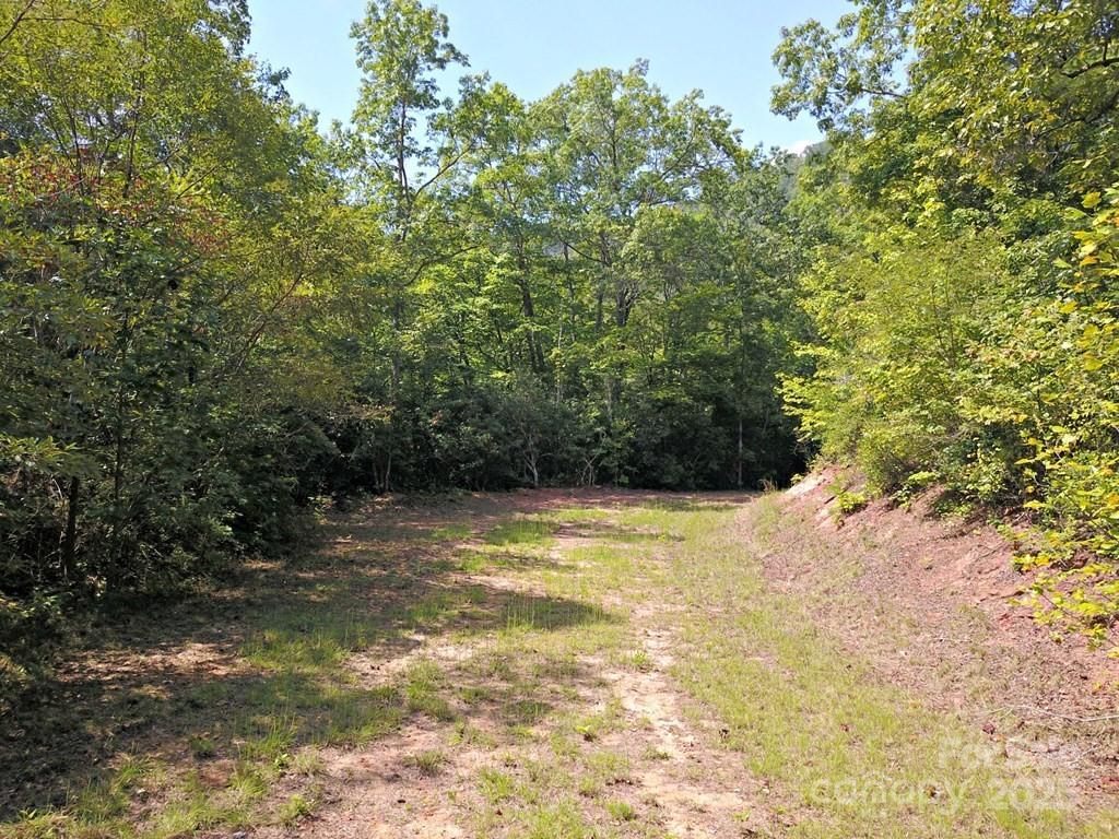 0 Mountain Forest Estates Road Property Photo 13