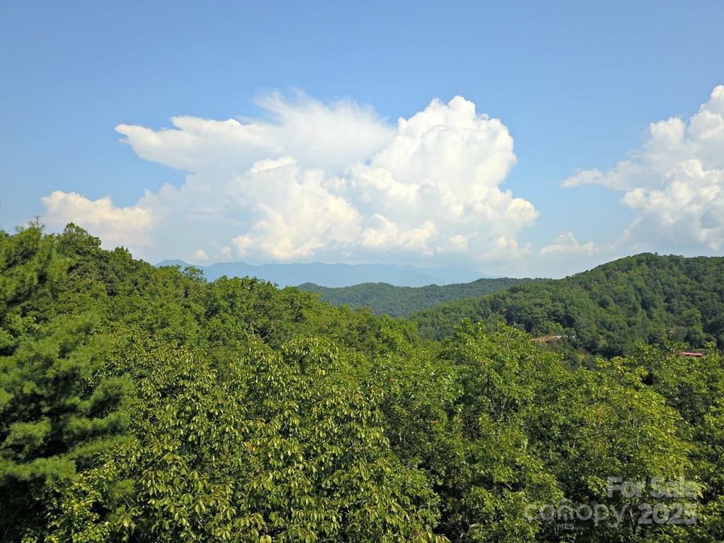0 Mountain Forest Estates Road Property Photo 14