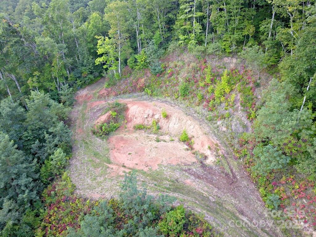 0 Mountain Forest Estates Road Property Photo 15