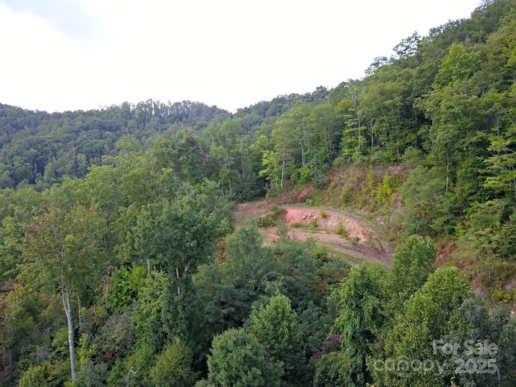 0 Mountain Forest Estates Road Property Photo 16