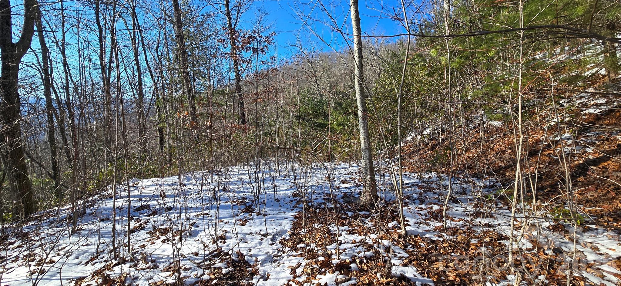 Lot 11 Bernies Trail Property Photo 1
