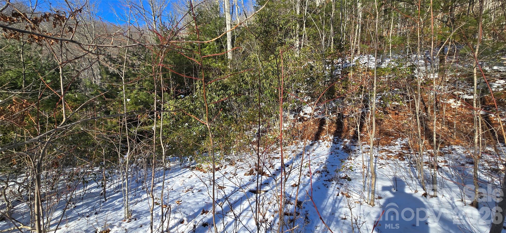 Lot 11 Bernies Trail Property Photo 3