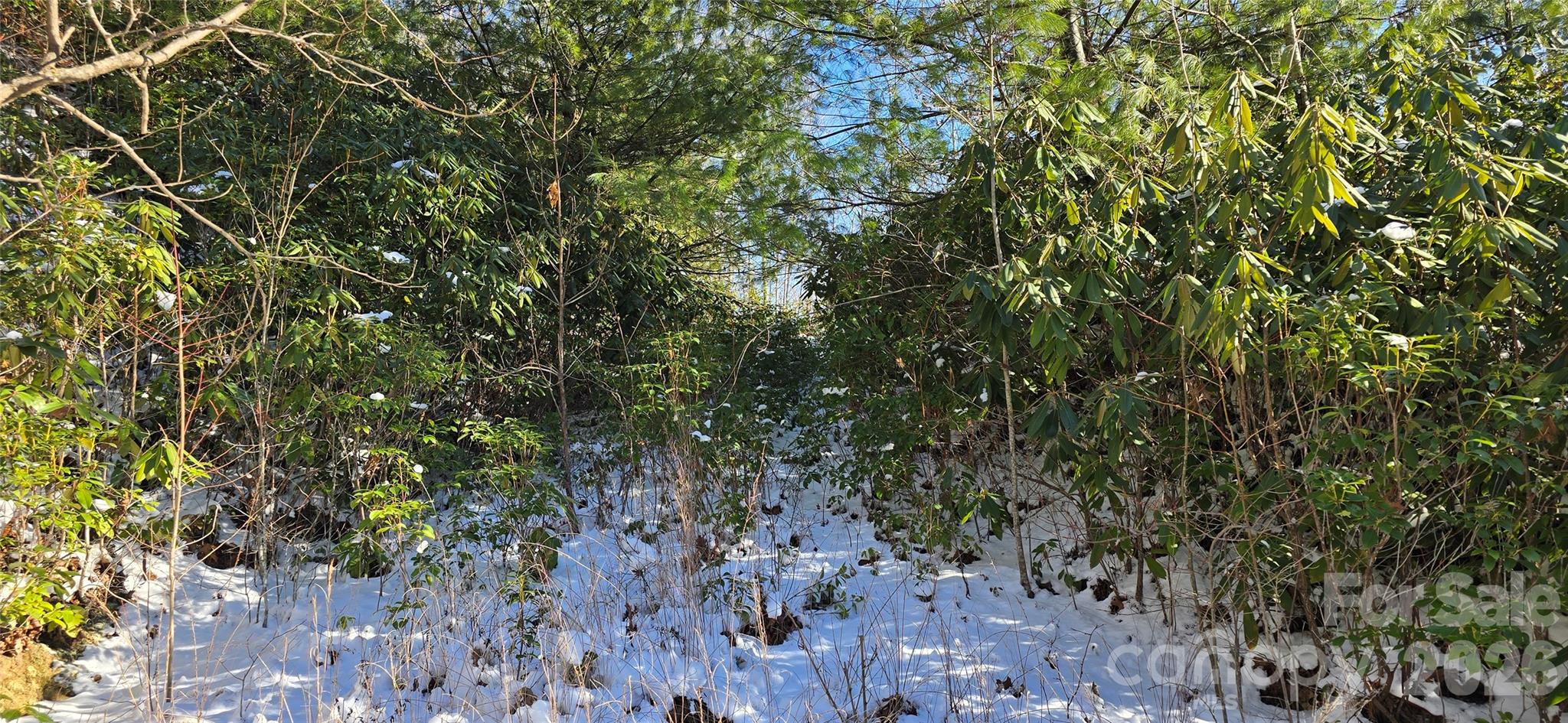 Lot 11 Bernies Trail Property Photo 9