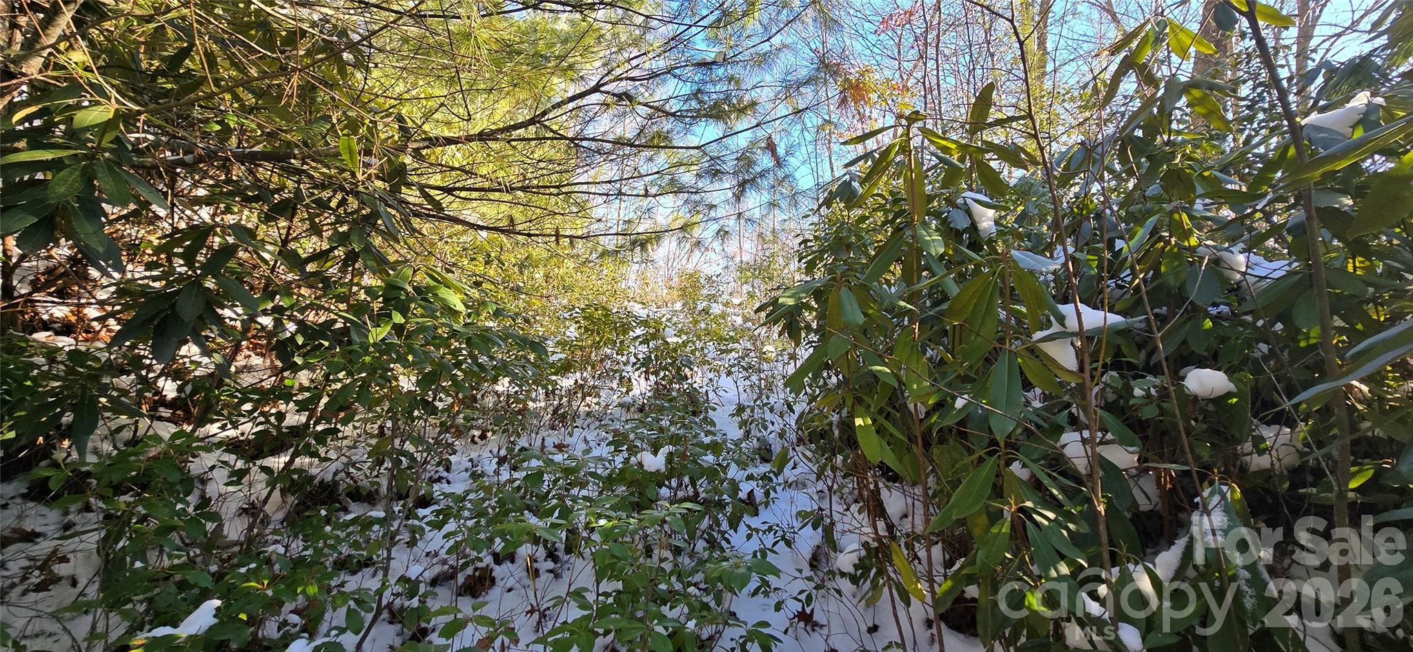 Lot 11 Bernies Trail Property Photo 10