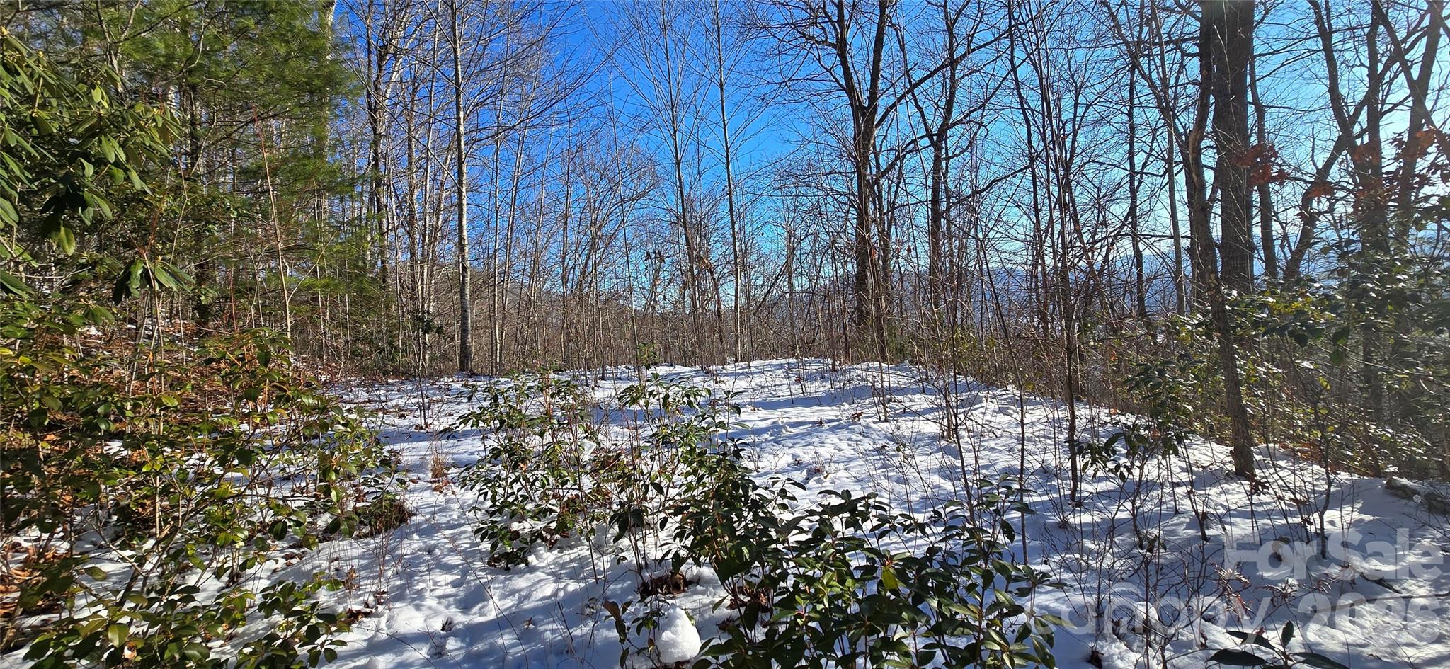 Lot 11 Bernies Trail Property Photo 11