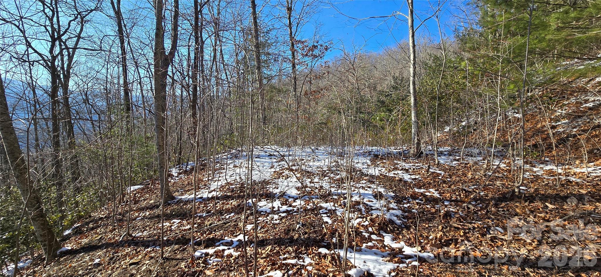 Lot 11 Bernies Trail Property Photo 13