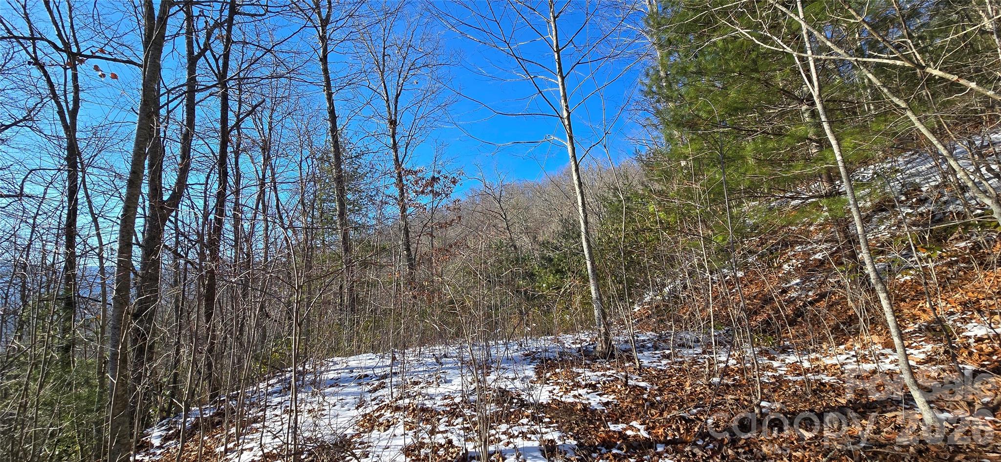 Lot 11 Bernies Trail Property Photo 14