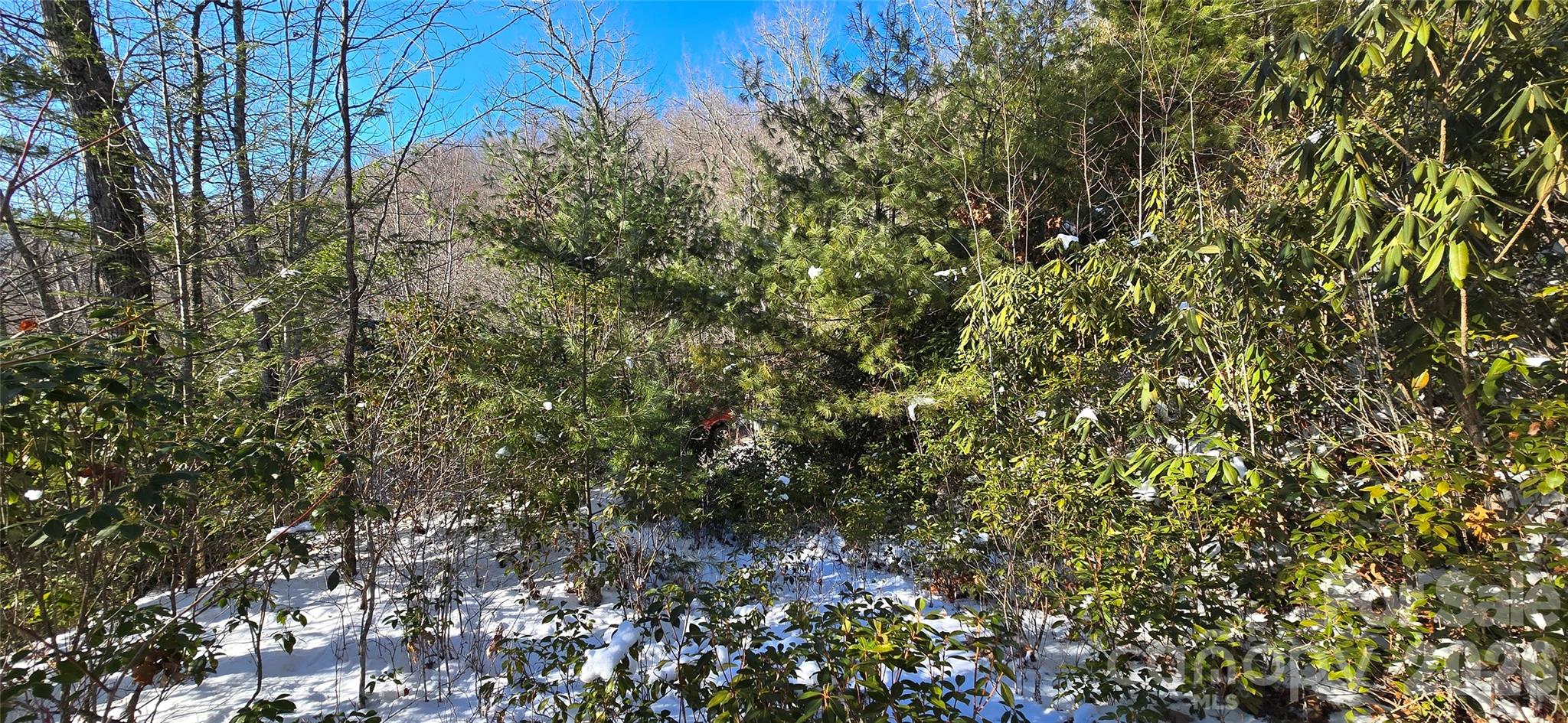 Lot 11 Bernies Trail Property Photo 18