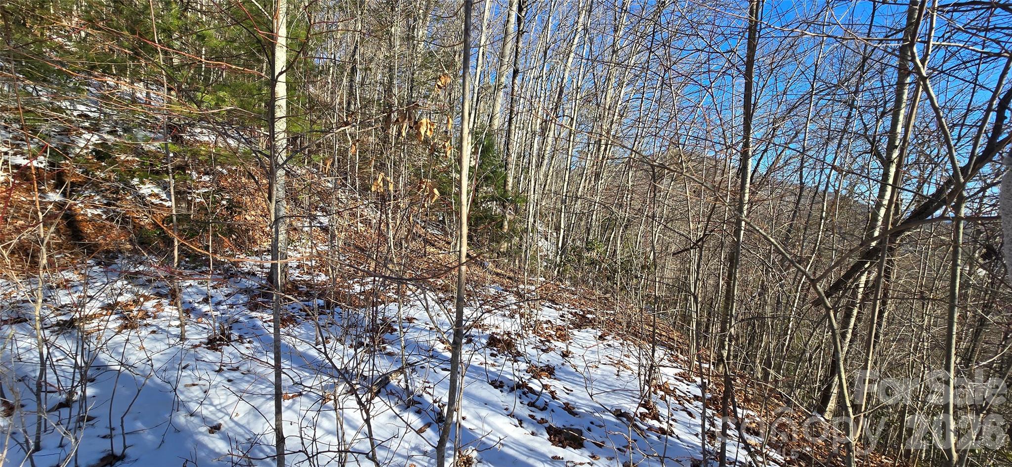 Lot 11 Bernies Trail Property Photo 19