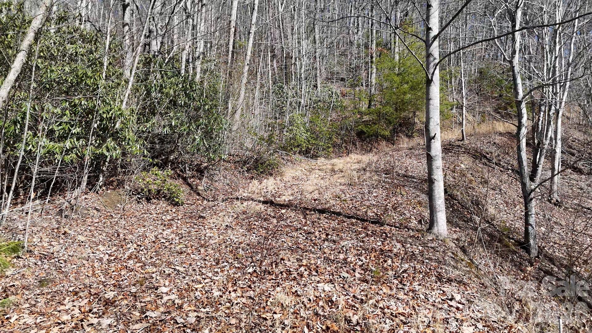 Lot 11 Bernies Trail Property Photo 22