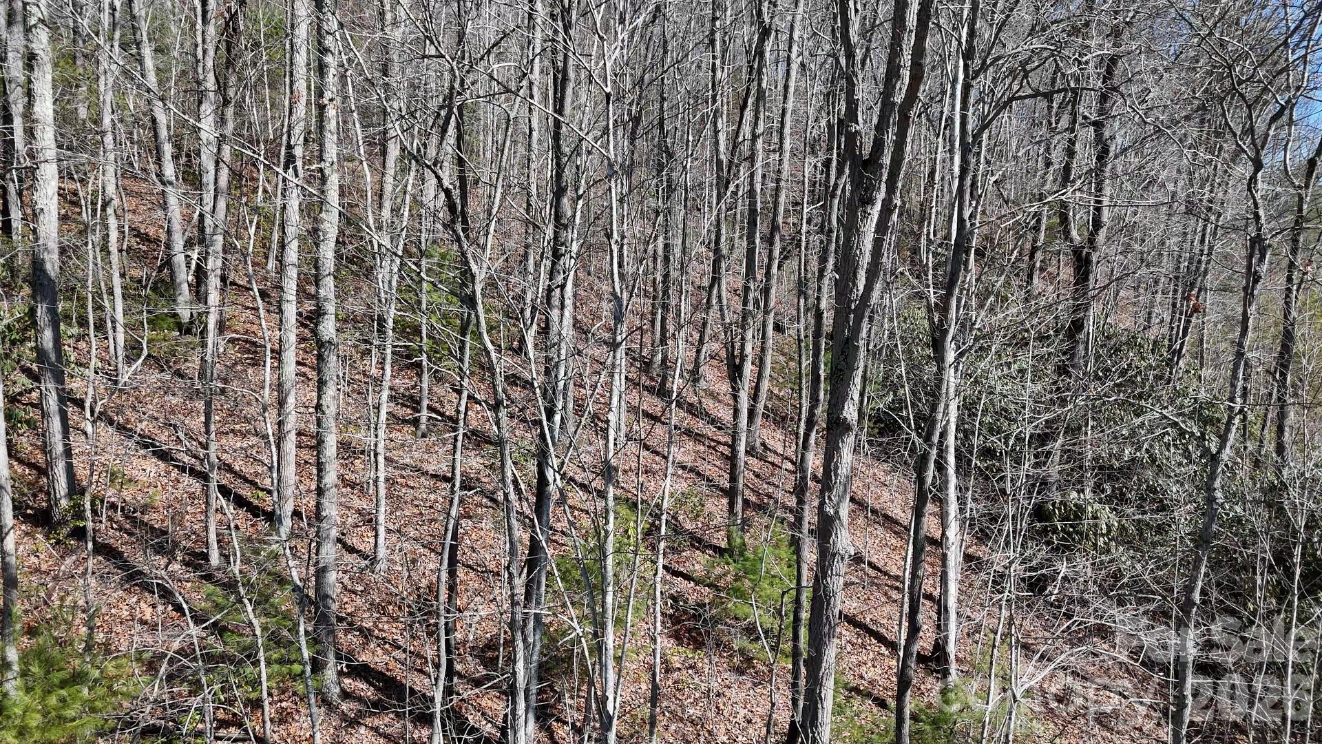 Lot 11 Bernies Trail Property Photo 24