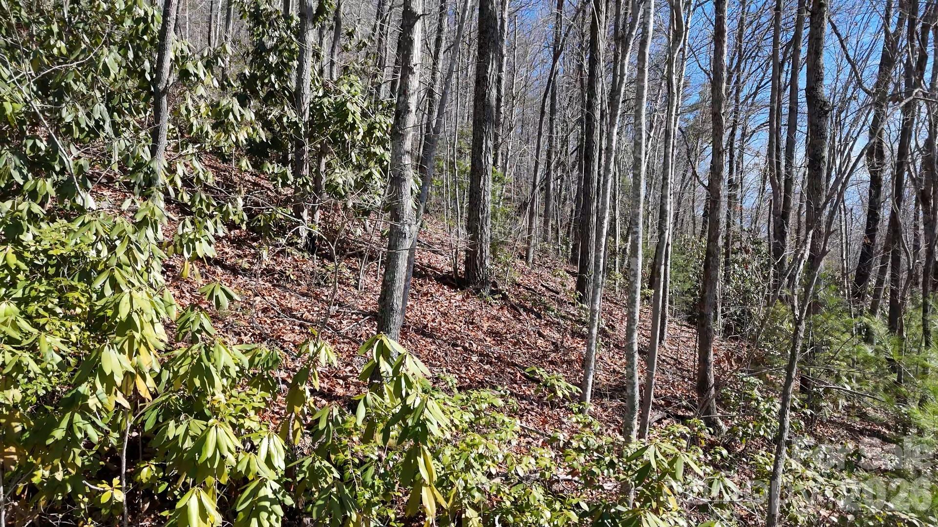 Lot 11 Bernies Trail Property Photo 25