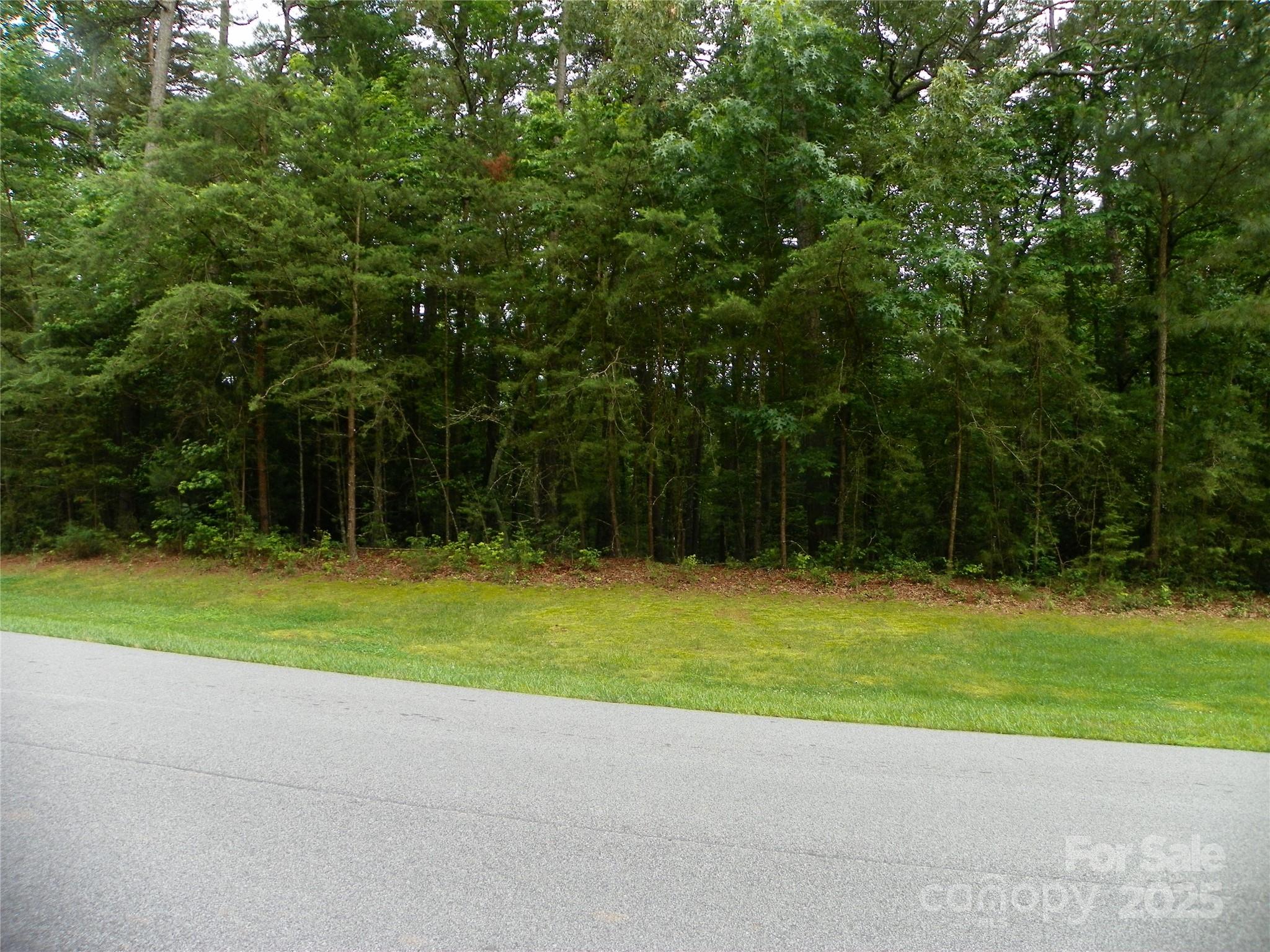 212 Whisper Lake Drive Property Photo 1