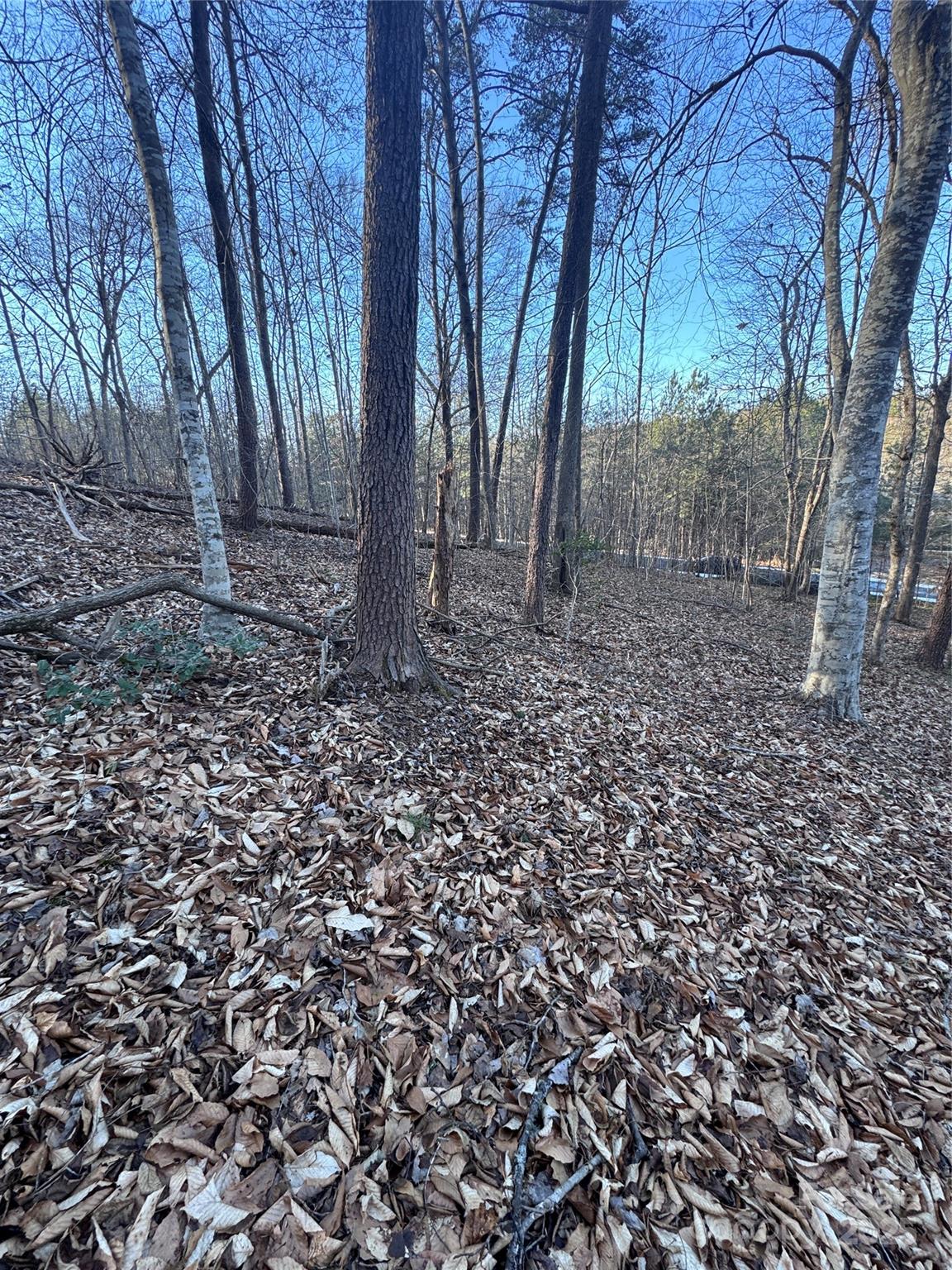0 Creekside Circle 126 Property Photo 9