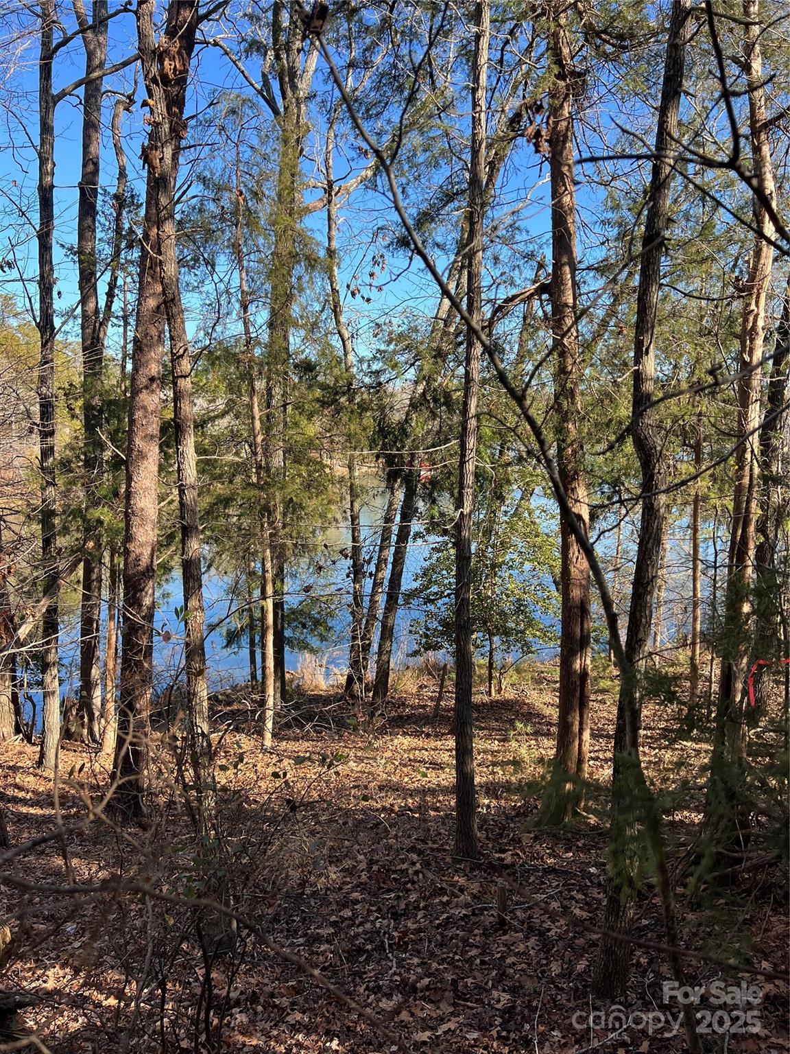 18524 Mainsail Court Property Photo 12