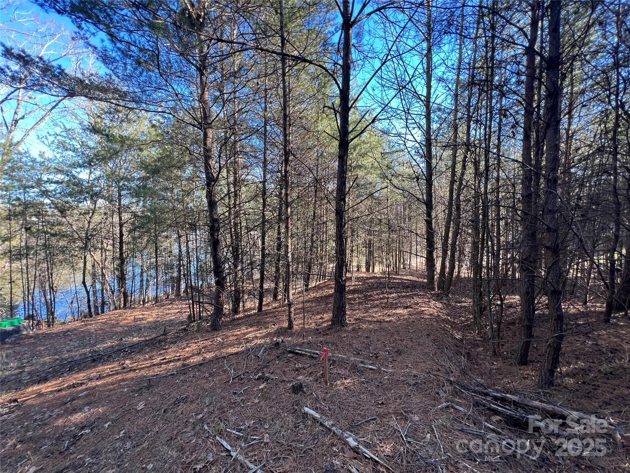 18524 Mainsail Court Property Photo 14