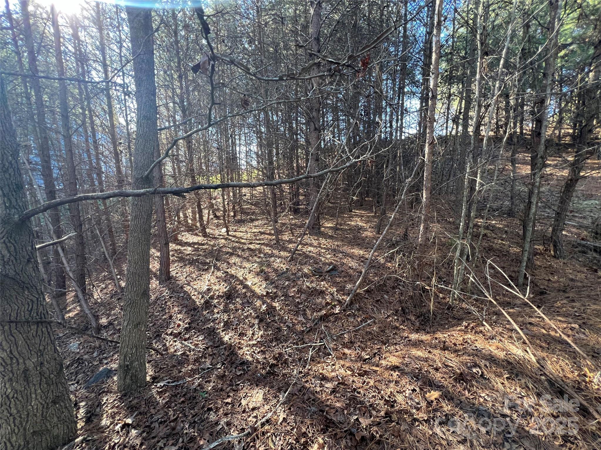 18524 Mainsail Court Property Photo 15