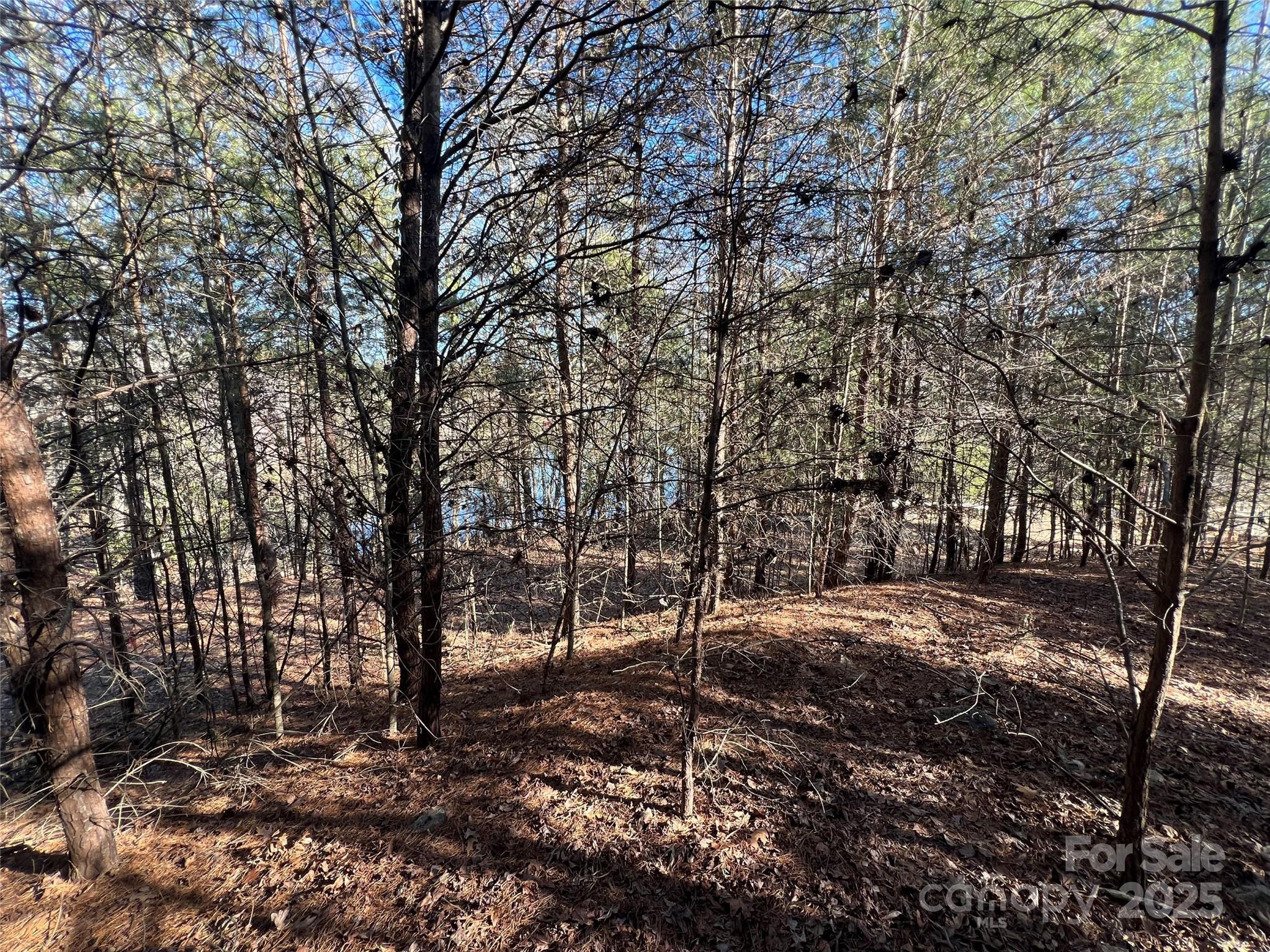 18524 Mainsail Court Property Photo 16