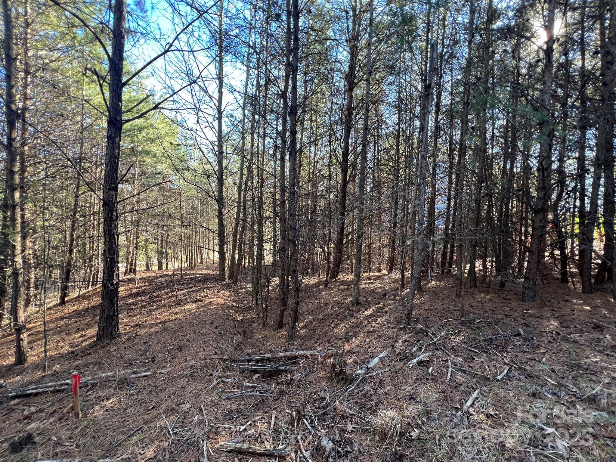 18524 Mainsail Court Property Photo 17