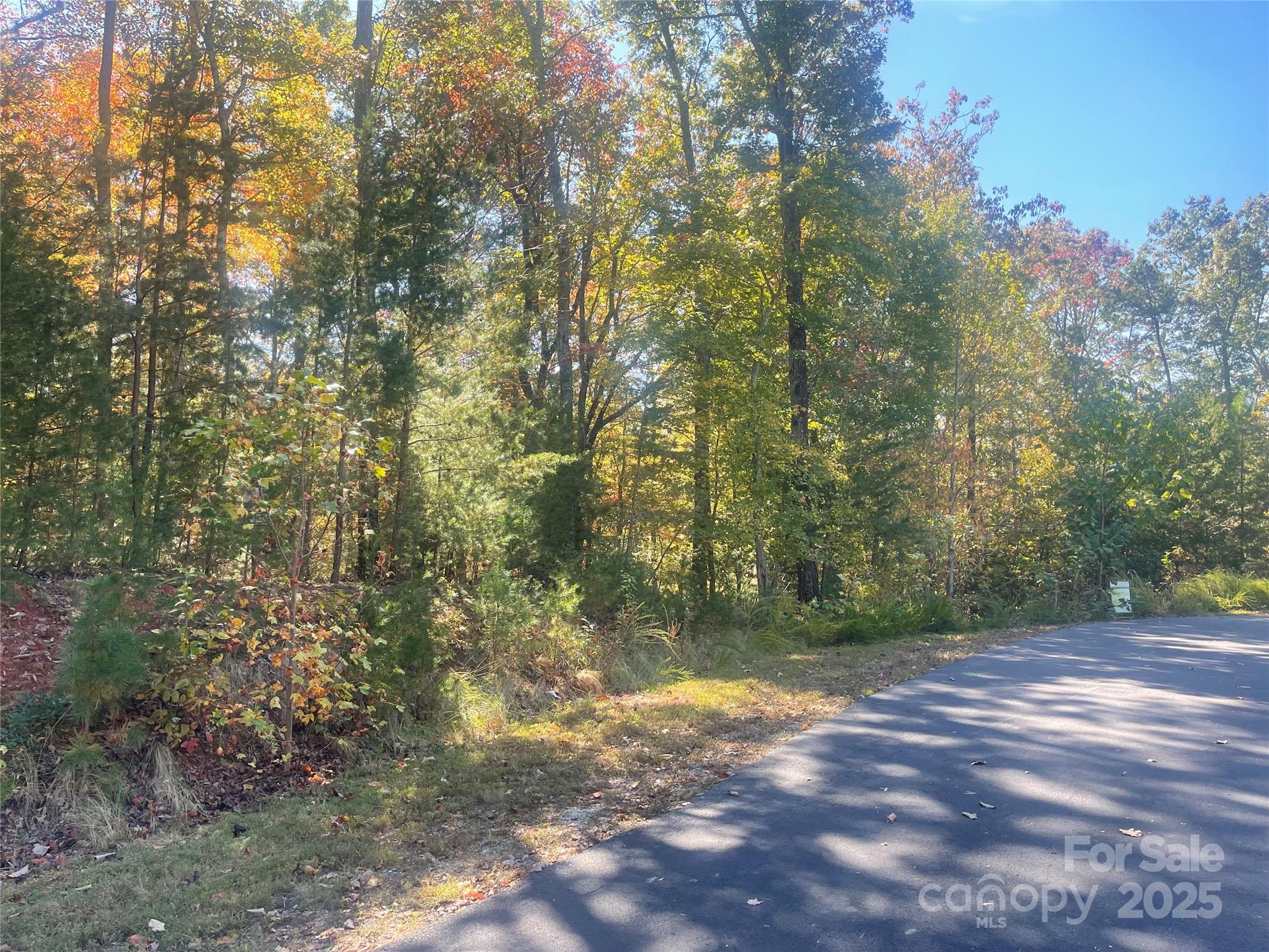 Lot 46 Bald Eagle Lane 46 Property Photo 4