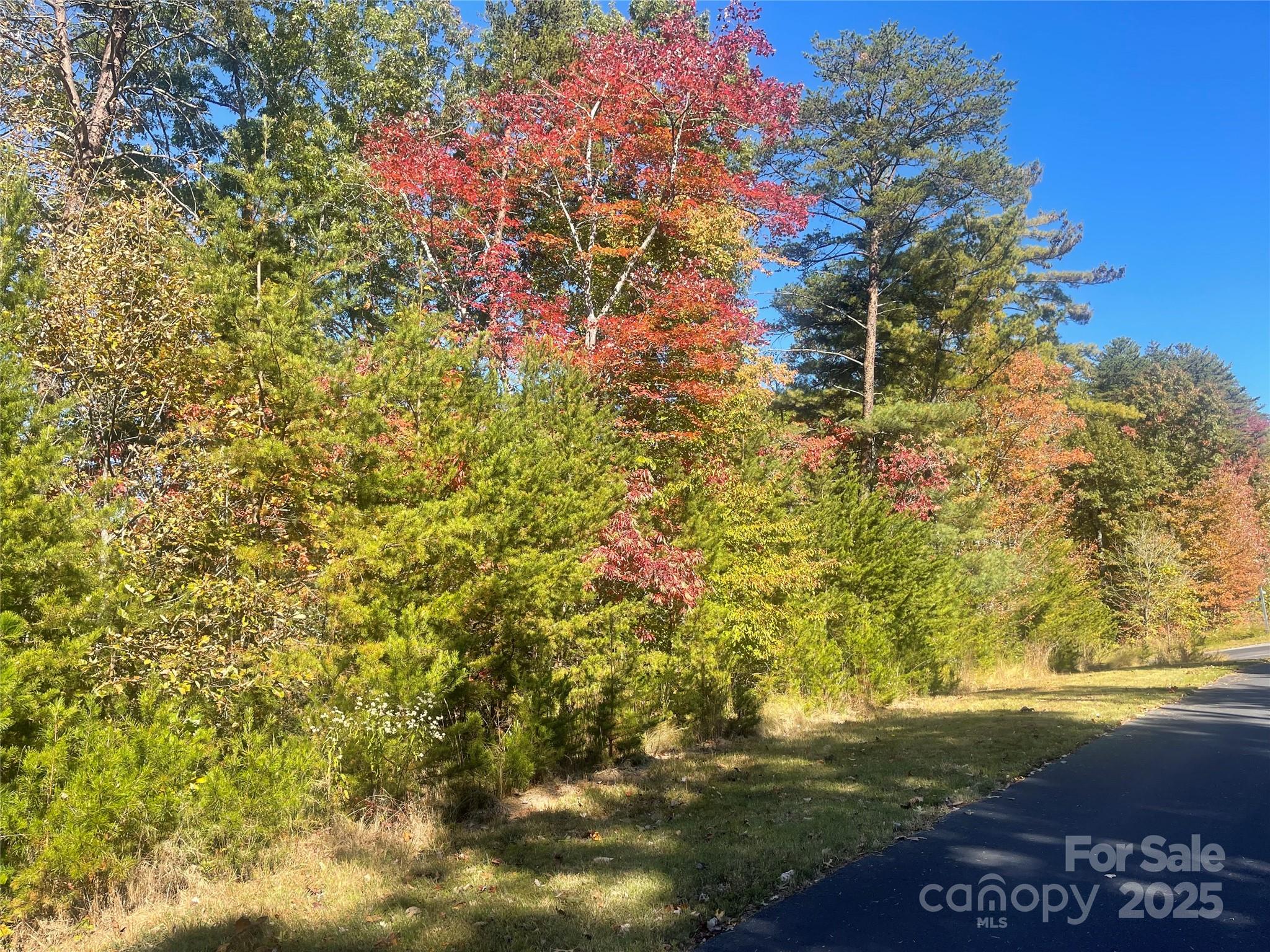 Lot 46 Bald Eagle Lane 46 Property Photo 8
