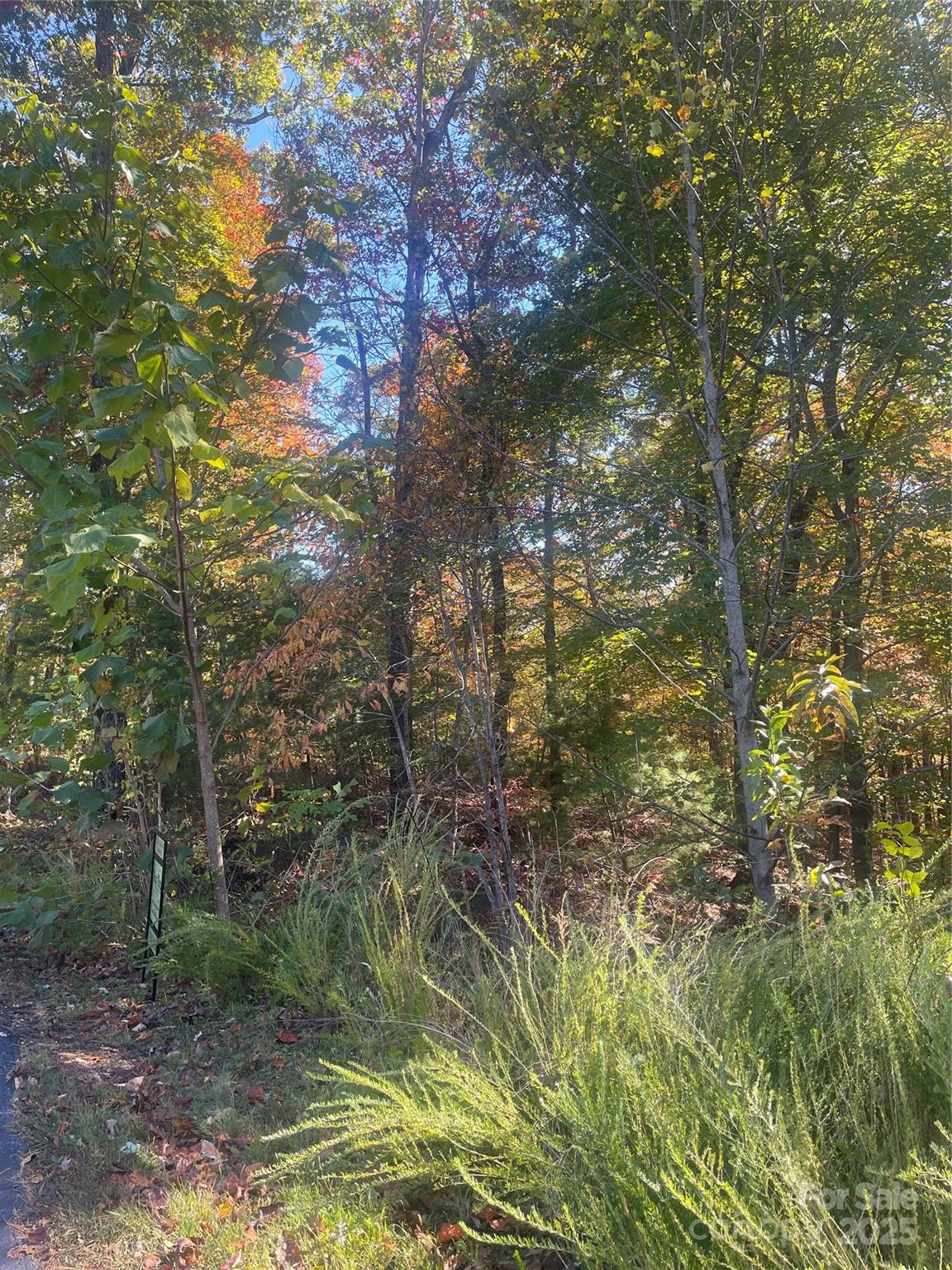 Lot 46 Bald Eagle Lane 46 Property Photo 9