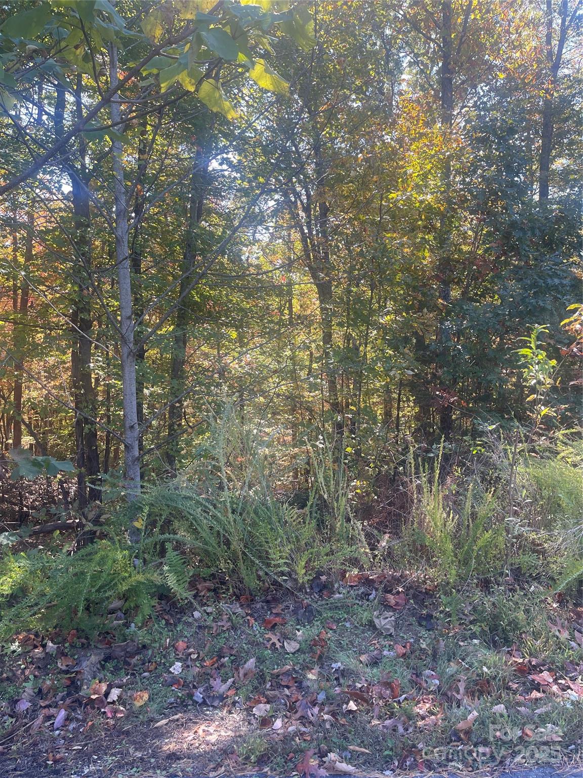 Lot 46 Bald Eagle Lane 46 Property Photo 10