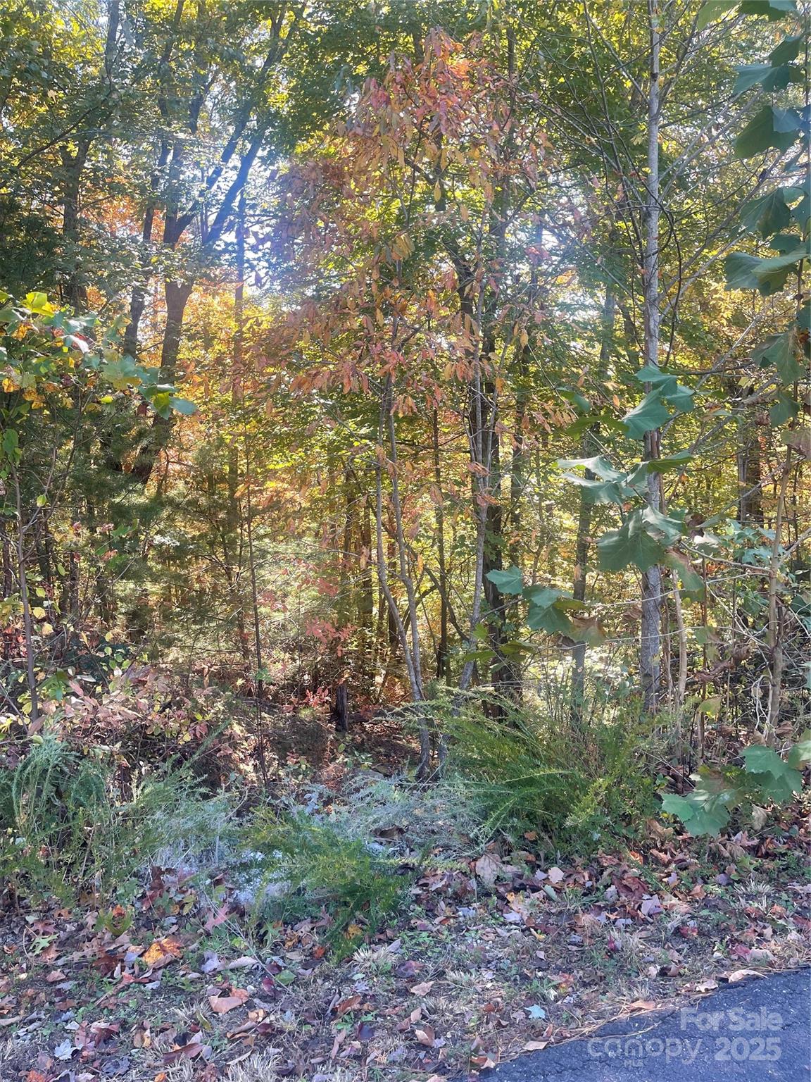 Lot 46 Bald Eagle Lane 46 Property Photo 11