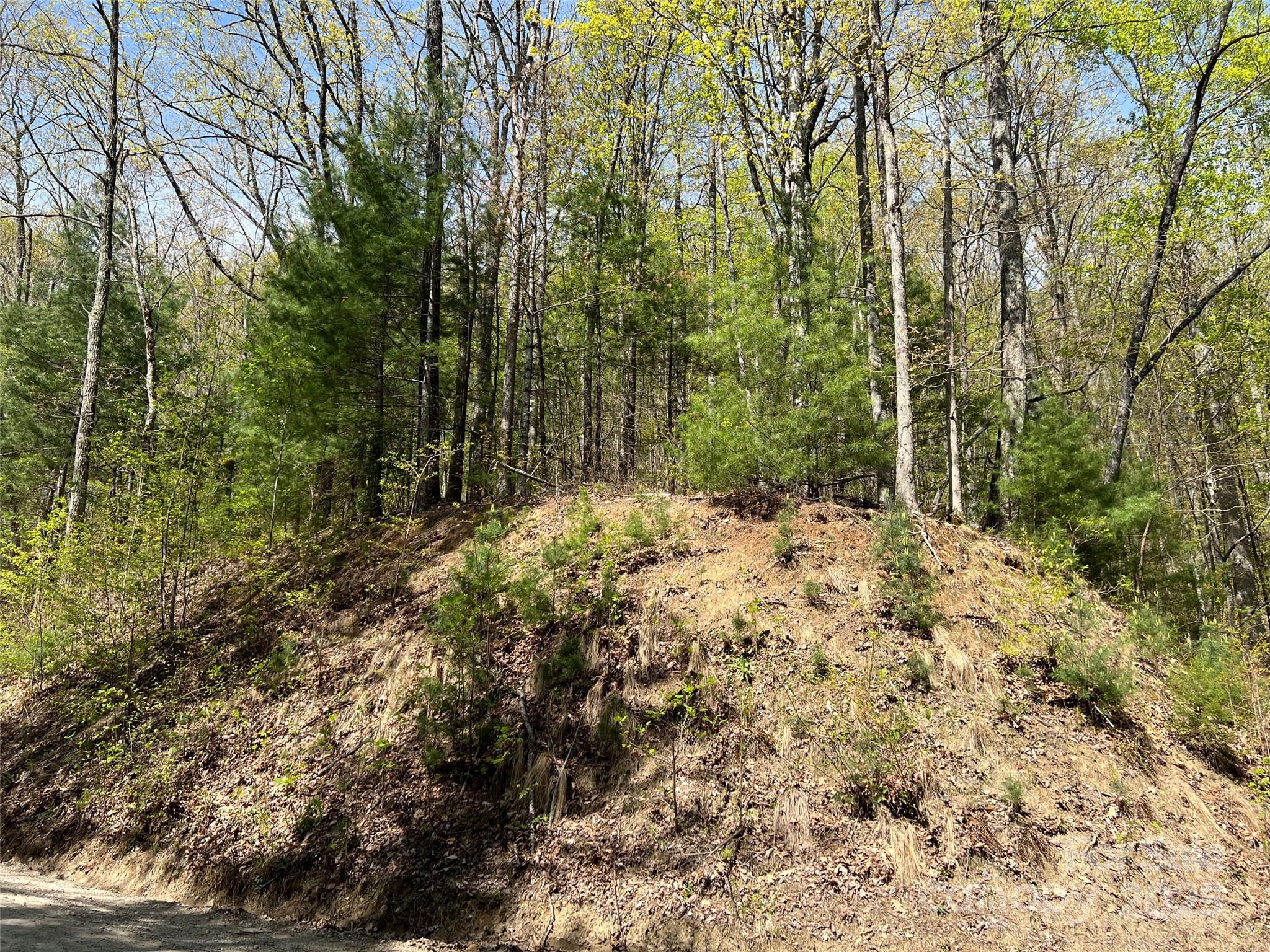 00 Hidden Trail