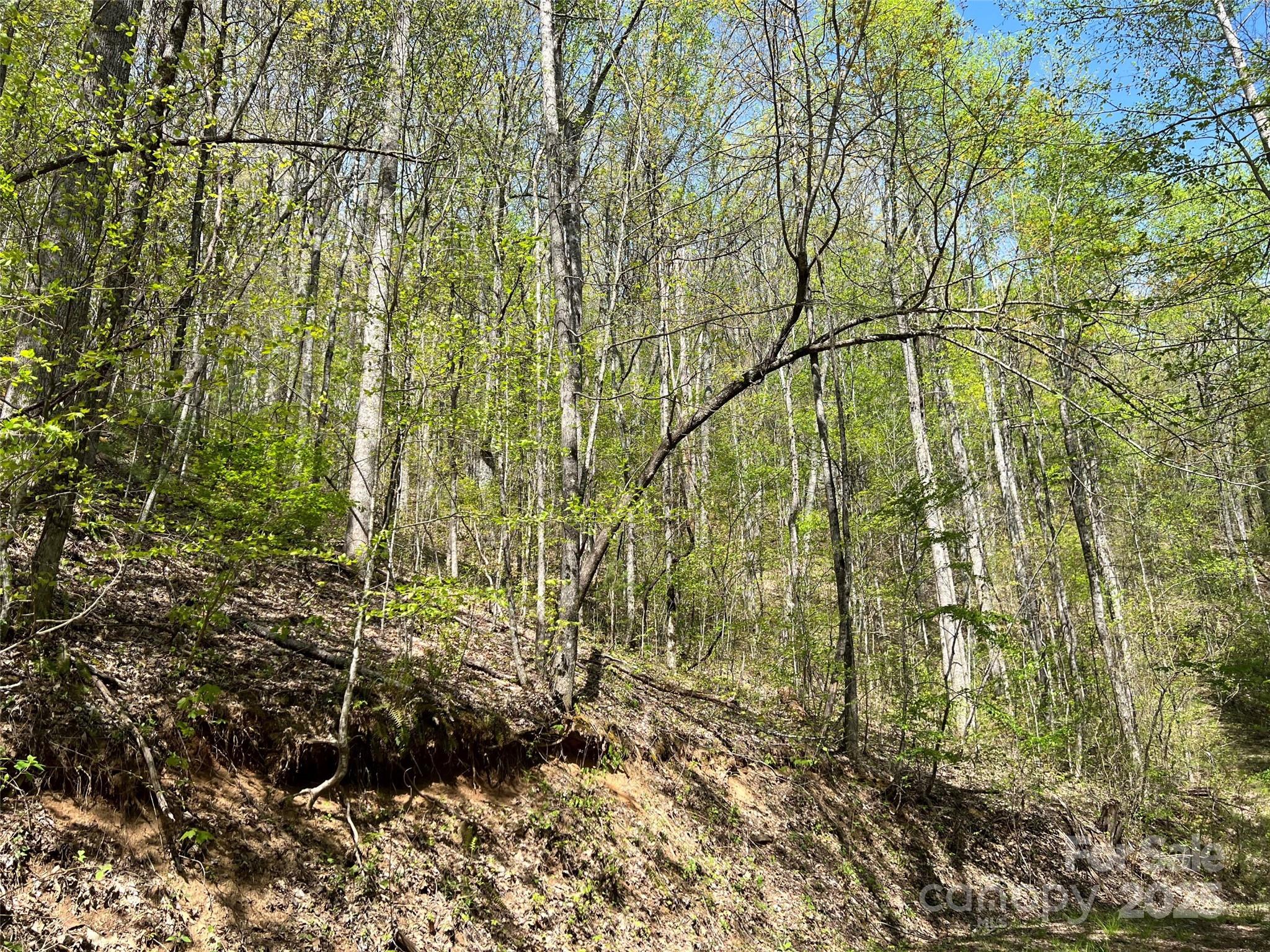 00 Hidden Trail Property Photo 2