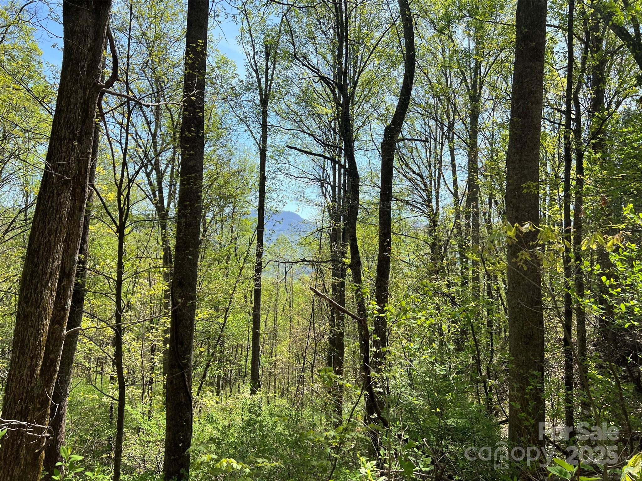 00 Hidden Trail Property Photo 4