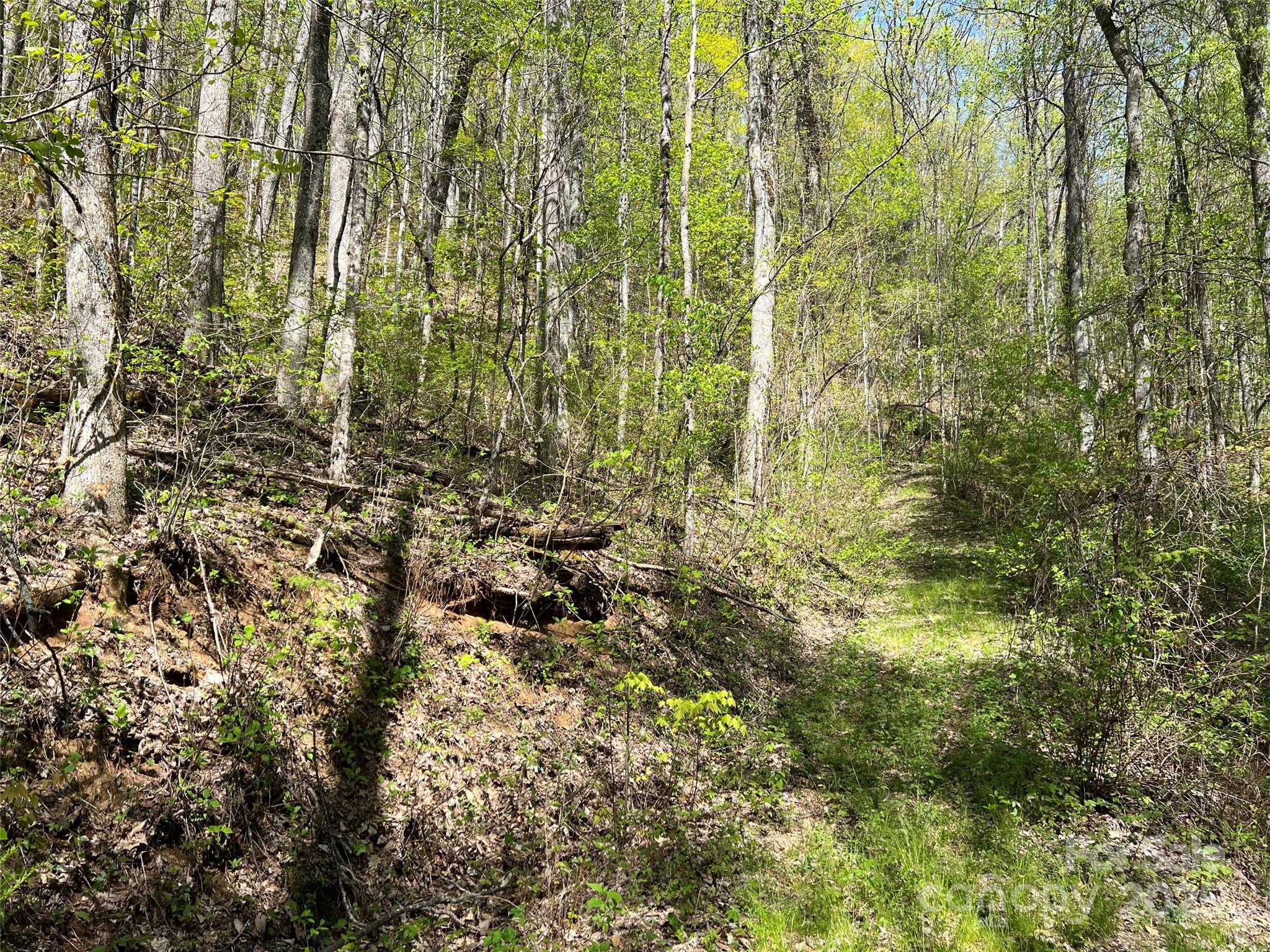 00 Hidden Trail Property Photo 5